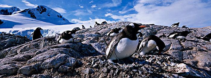 《星球大战绝地：幸存者》自制DLSS 3效果拔群