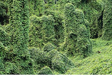 韩国模拟人生《inZOI》幽灵系统介绍：很刺激哟