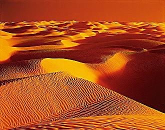 传闻：Xbox第一方游戏《Everwild》开发进展顺利